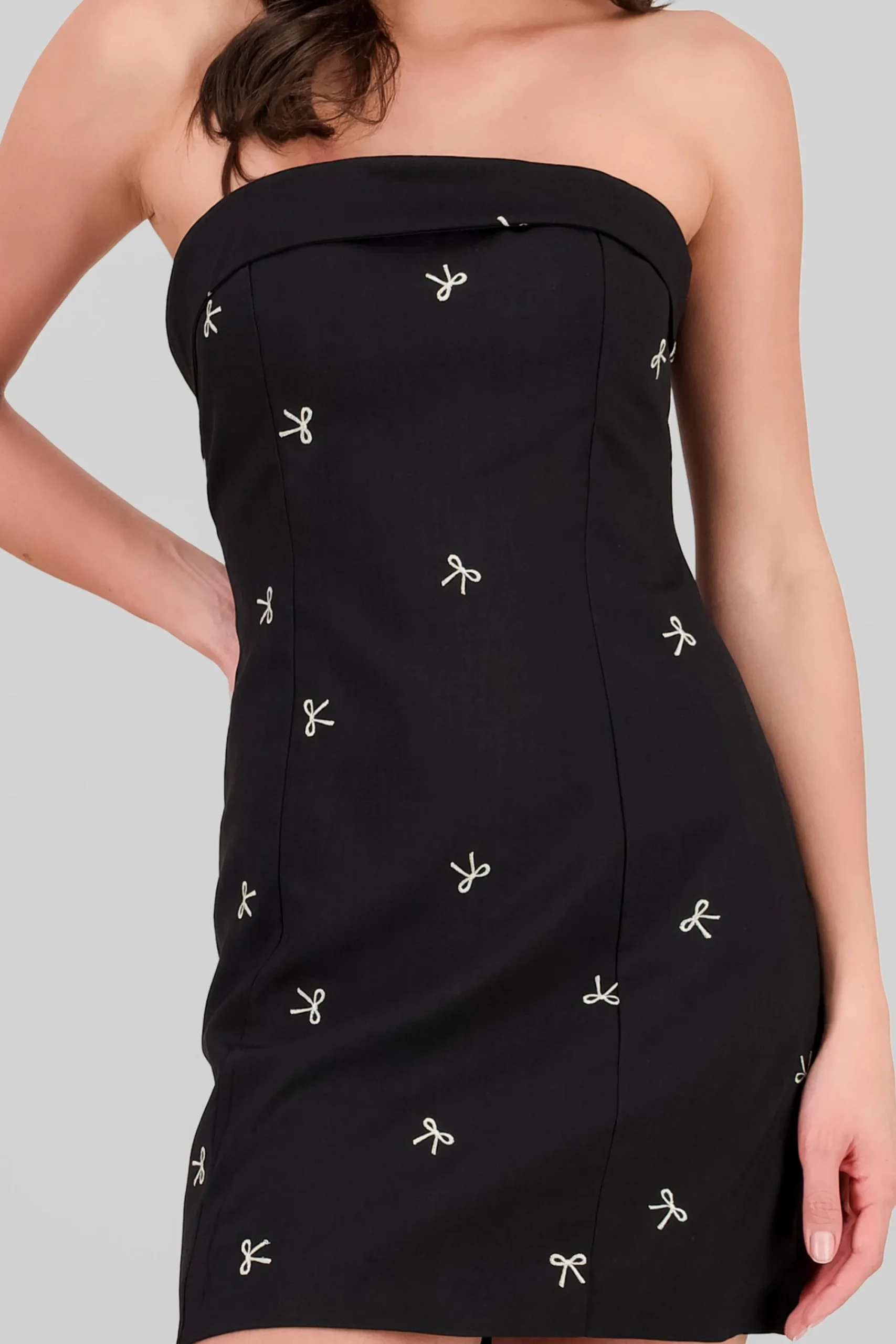 Shasa Strapless Embroidered Dress