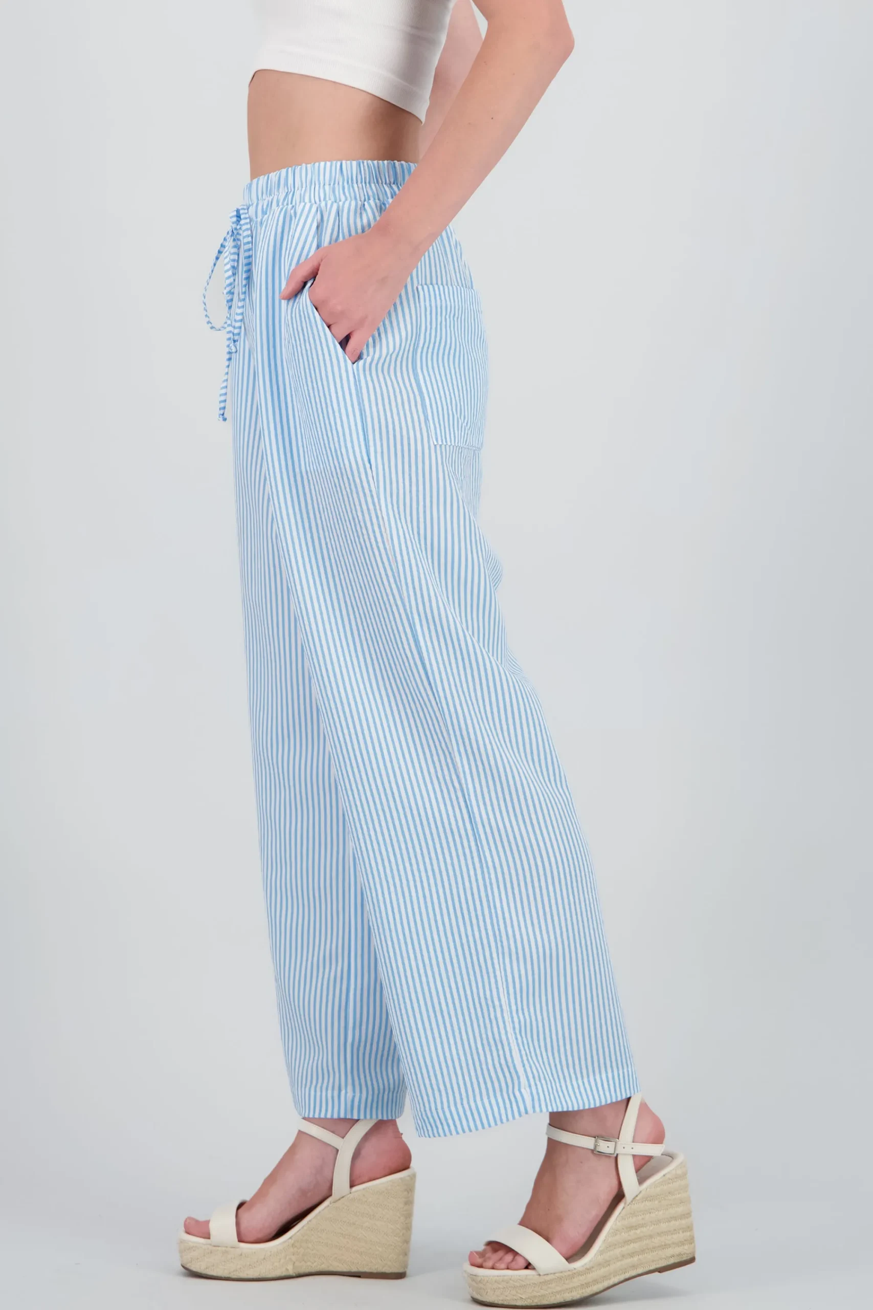 Shasa Striped Wide Leg Pants