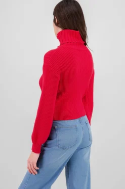 Shasa Turtleneck Knit Sweater