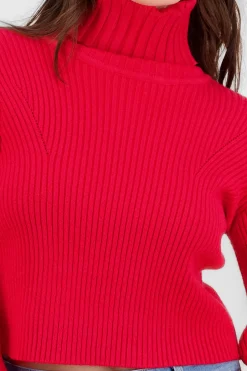 Shasa Turtleneck Knit Sweater