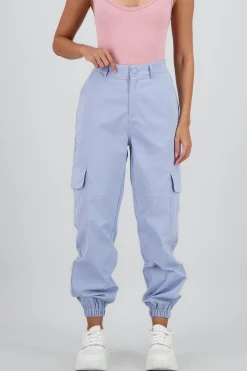 Shasa Waistband Detail Pants