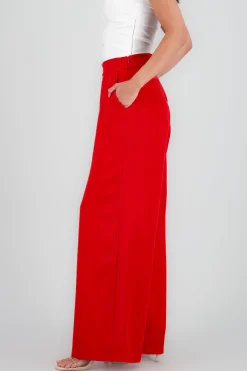Shasa Wide Leg Dress Pants