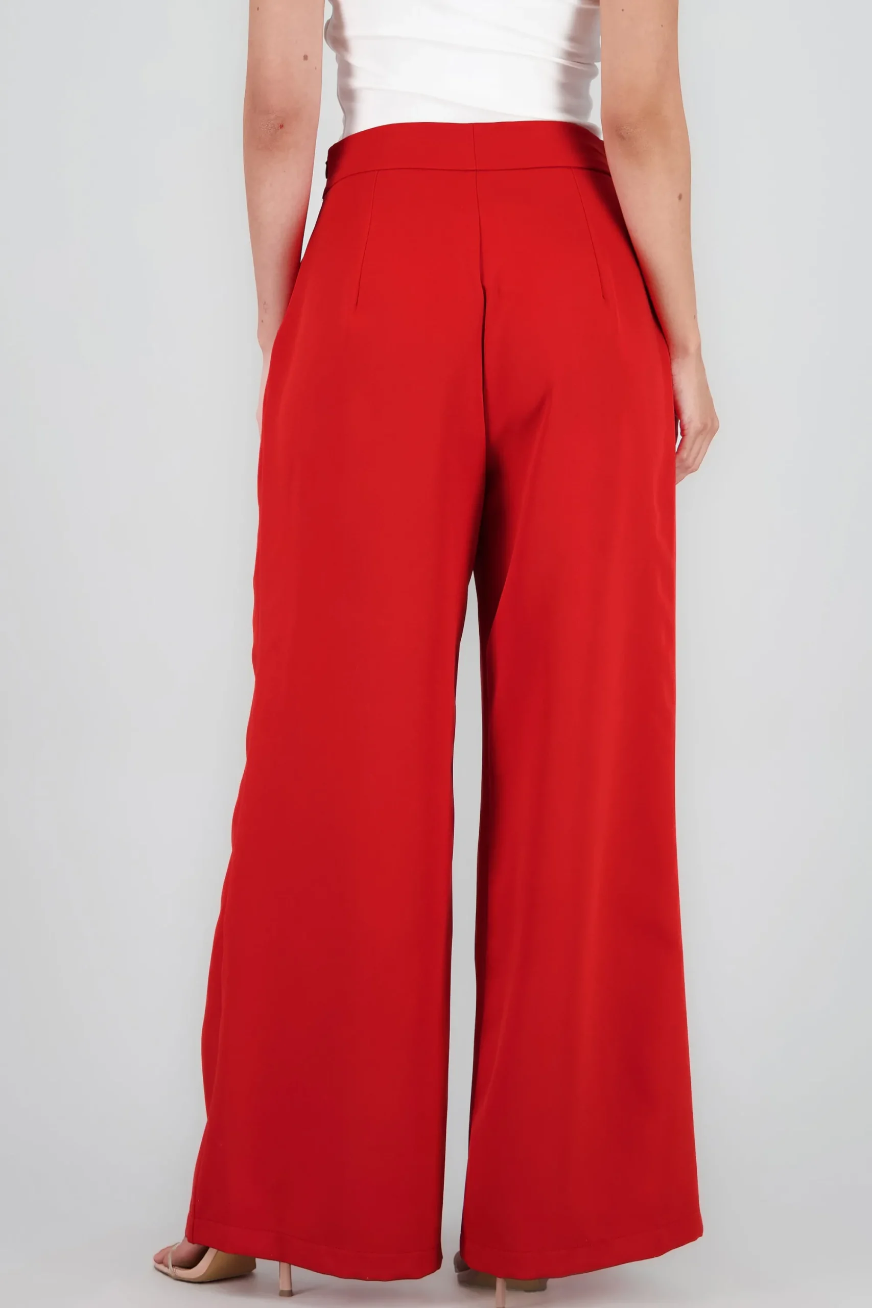 Shasa Wide Leg Dress Pants