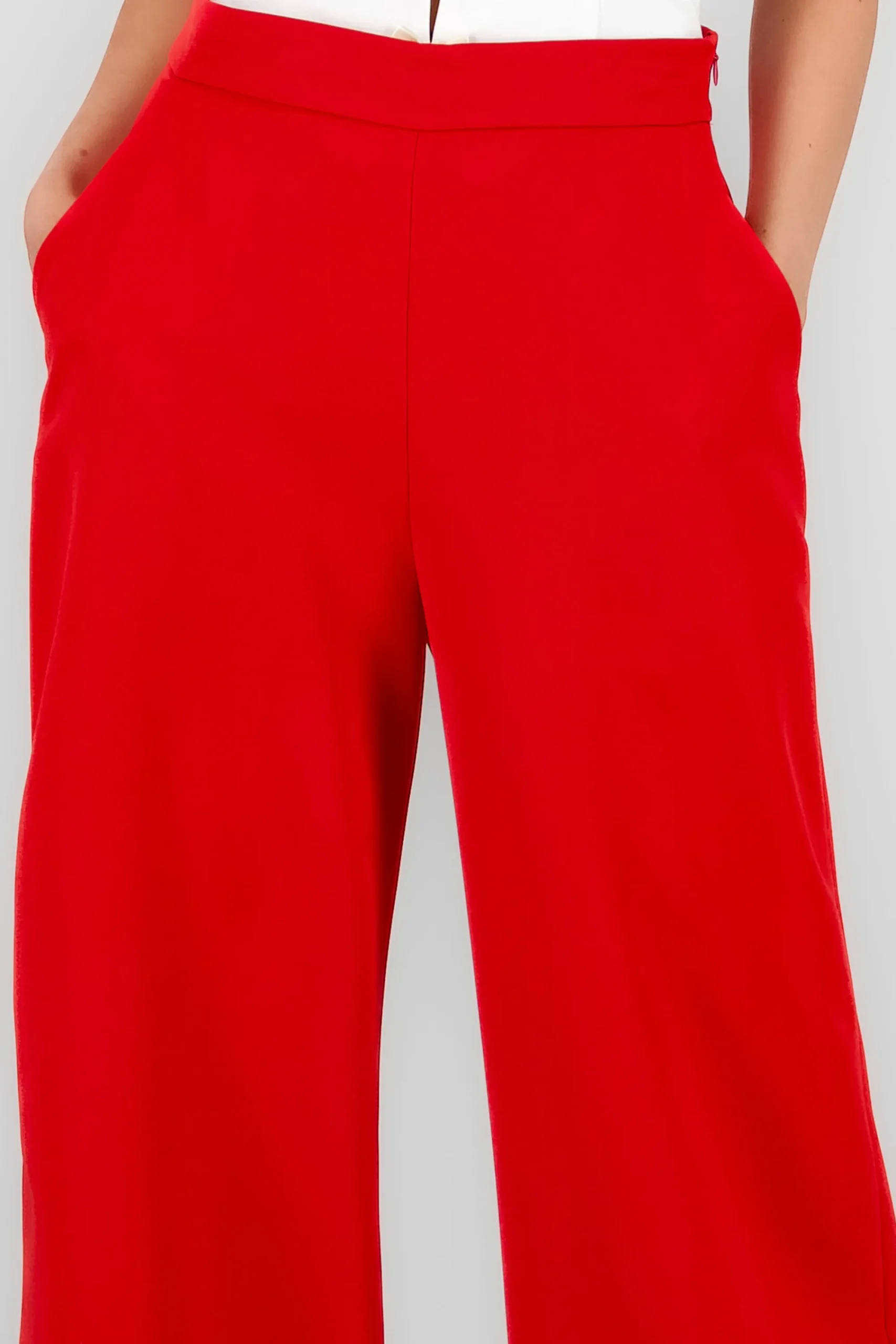 Shasa Wide Leg Dress Pants