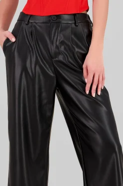 Shasa Wide Leg Faux Leather Pants