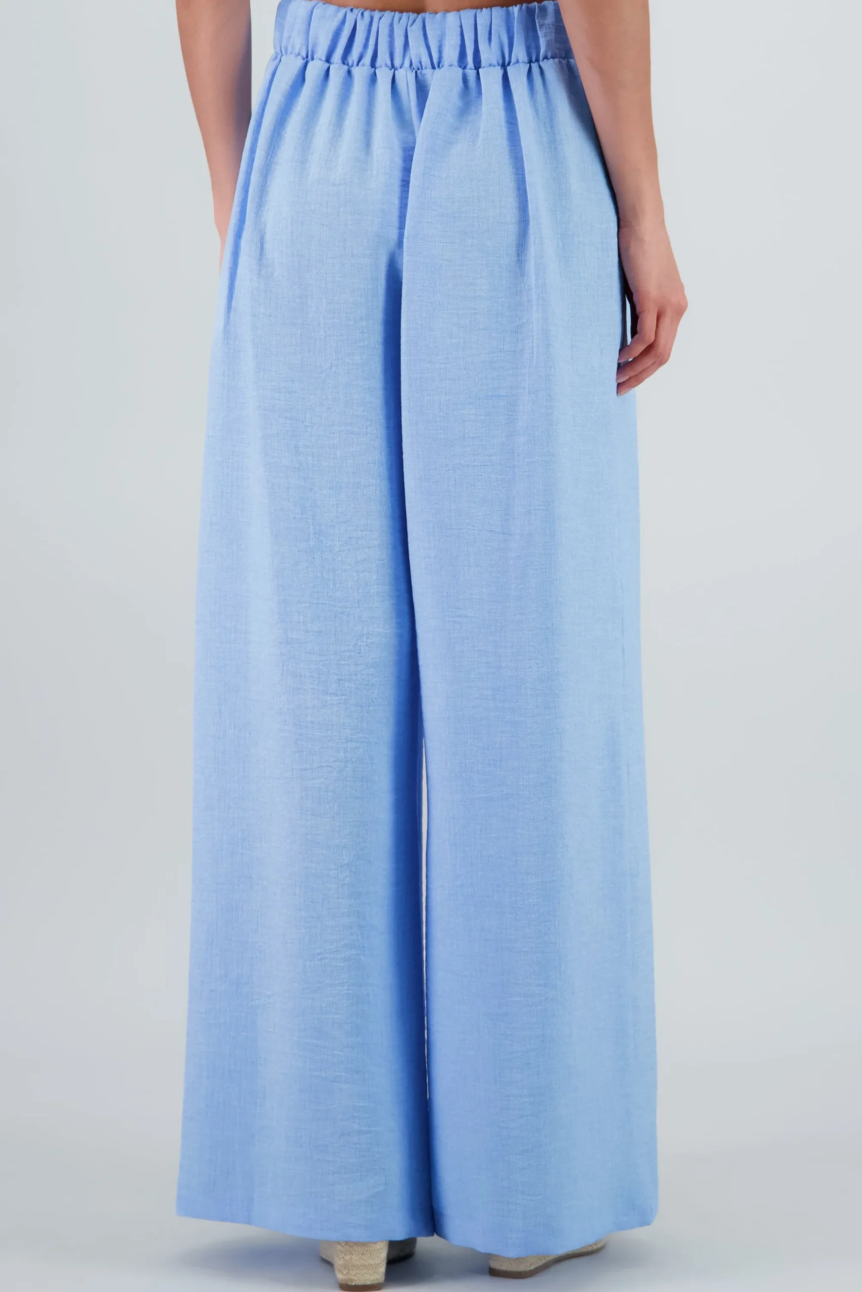 Shasa Wide Leg Pants with Pleated Waistband Detail