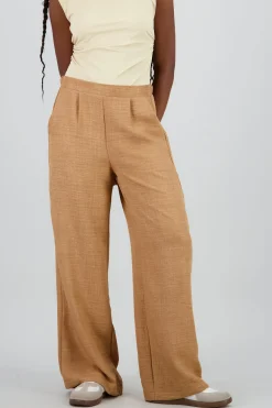 Shasa Wide Leg Pants with Pleats