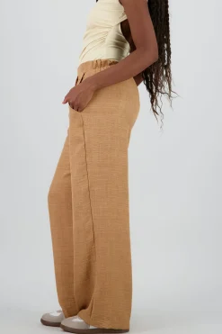Shasa Wide Leg Pants with Pleats