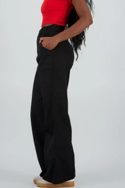 Shasa Wide Leg Pants with Pocket Seam Detail