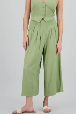 Shasa Wide Leg Pants with Two Pleats