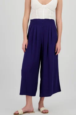 Shasa Wide Leg Pants with Two Pleats