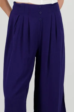 Shasa Wide Leg Pants with Two Pleats
