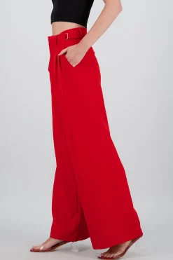 Shasa Wide Leg Pants with Waistband Detail