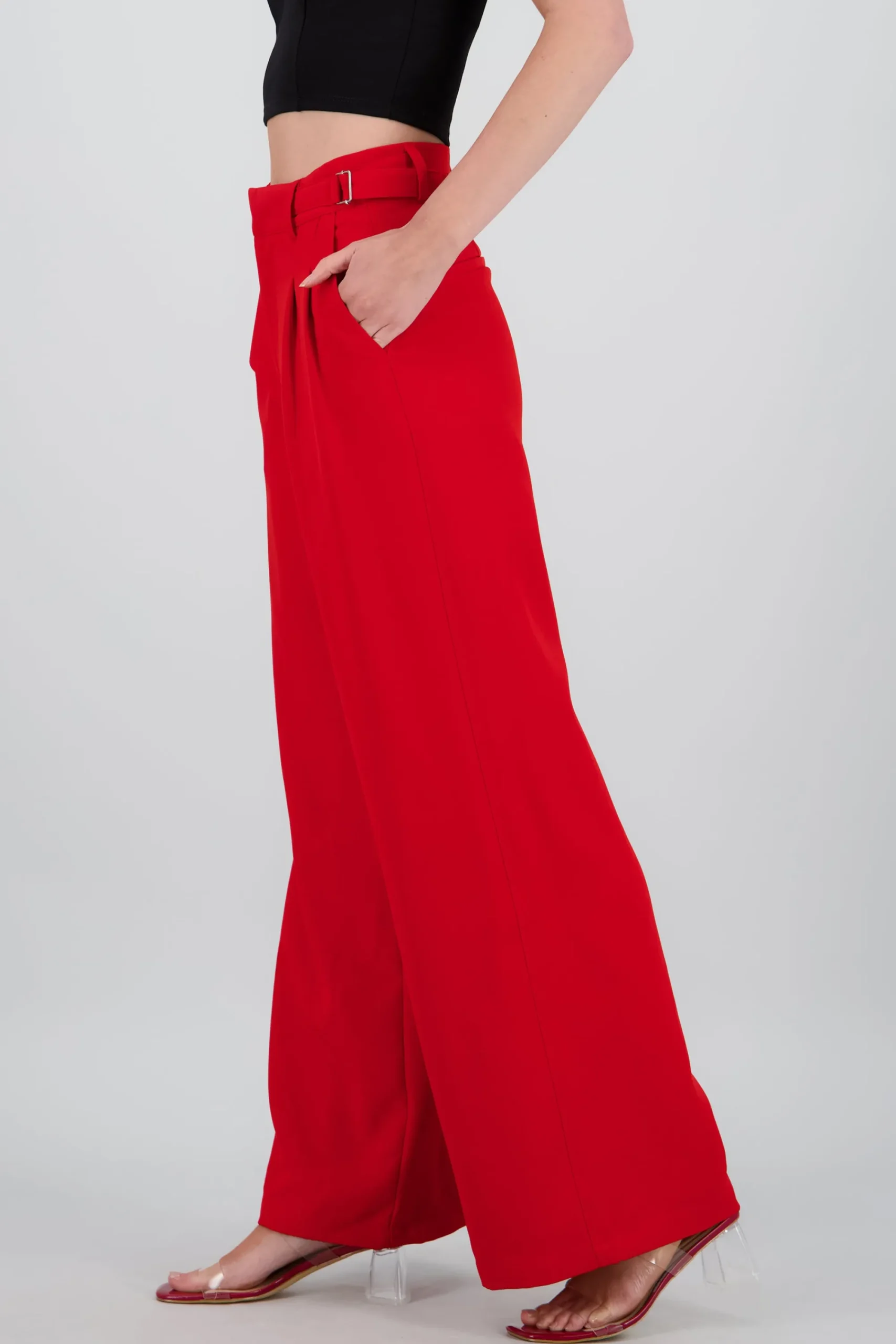 Shasa Wide Leg Pants with Waistband Detail