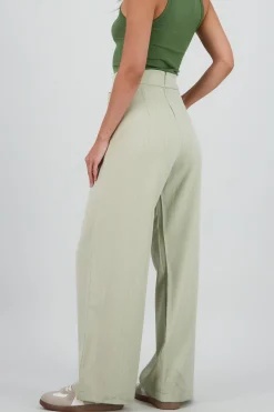 Shasa Wide Leg Pants with Waistband