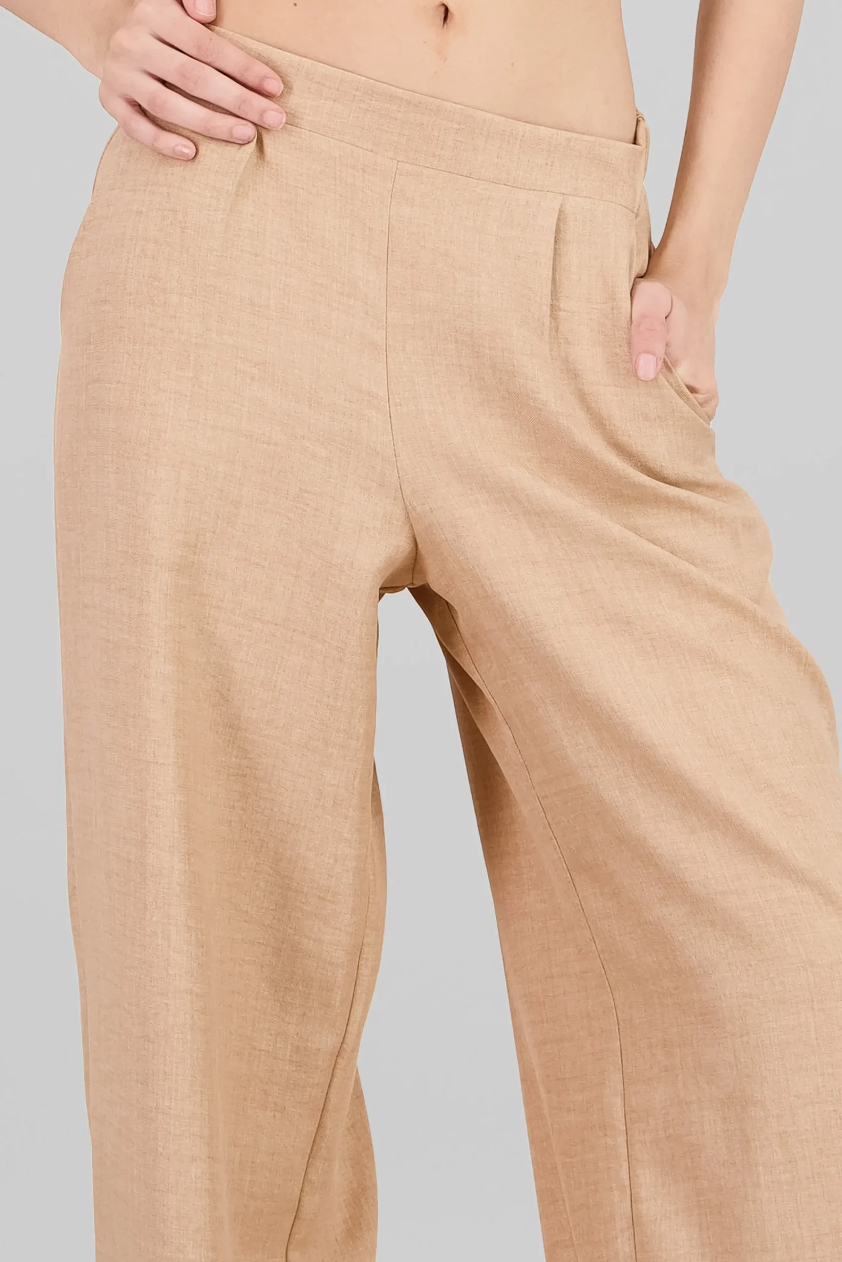 Shasa Wide Leg Pleated Pants