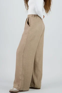 Shasa Wide Leg Pleated Pants