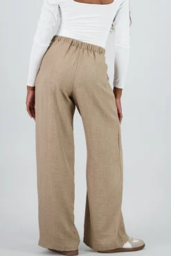 Shasa Wide Leg Pleated Pants