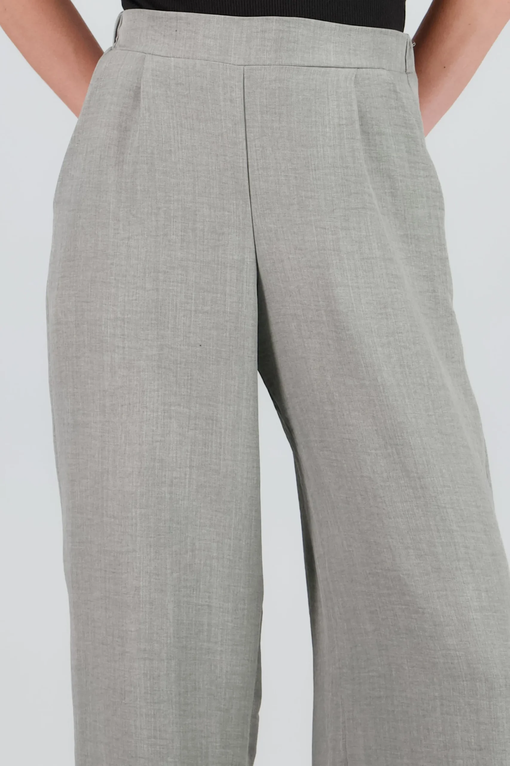 Shasa Wide Leg Pleated Pants