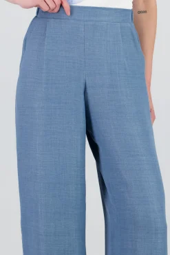 Shasa Wide Leg Pleated Pants