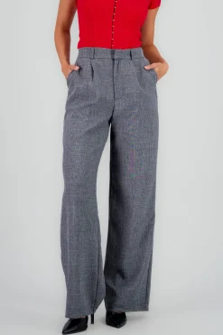 Shasa Wide Pleated Pants
