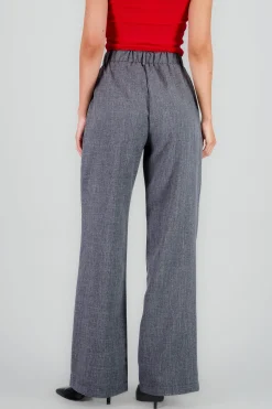 Shasa Wide Pleated Pants
