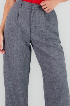 Shasa Wide Pleated Pants