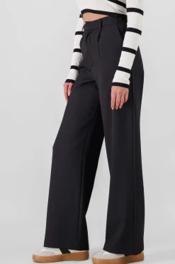 Shasa Wide Pleated Pants