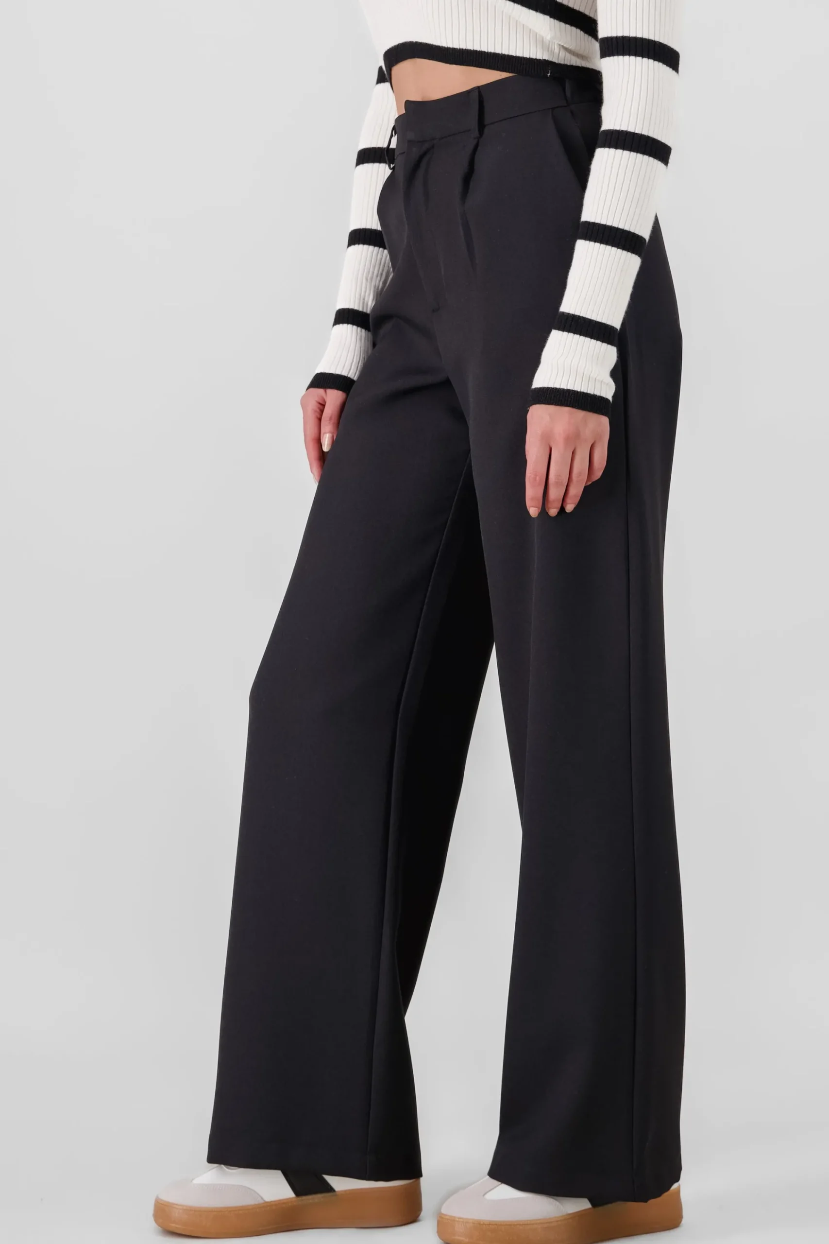 Shasa Wide Pleated Pants