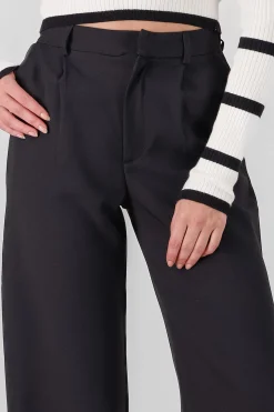 Shasa Wide Pleated Pants