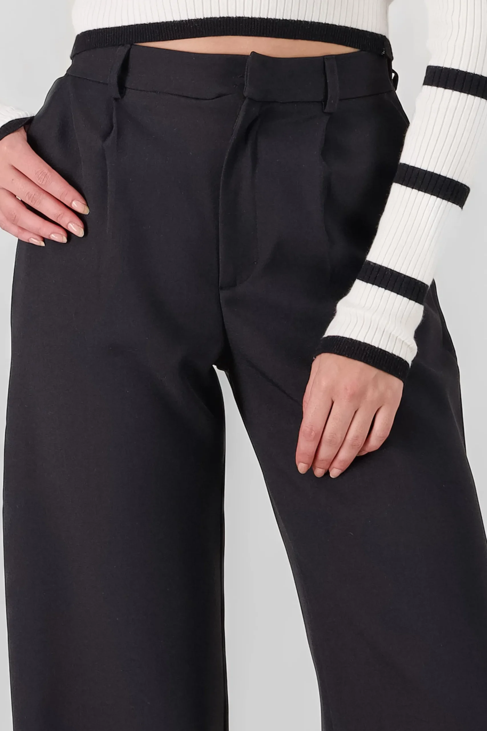 Shasa Wide Pleated Pants