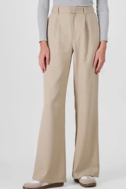 Shasa Wide Pleated Pants