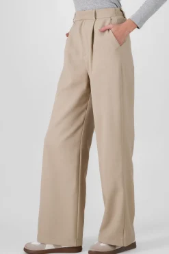 Shasa Wide Pleated Pants