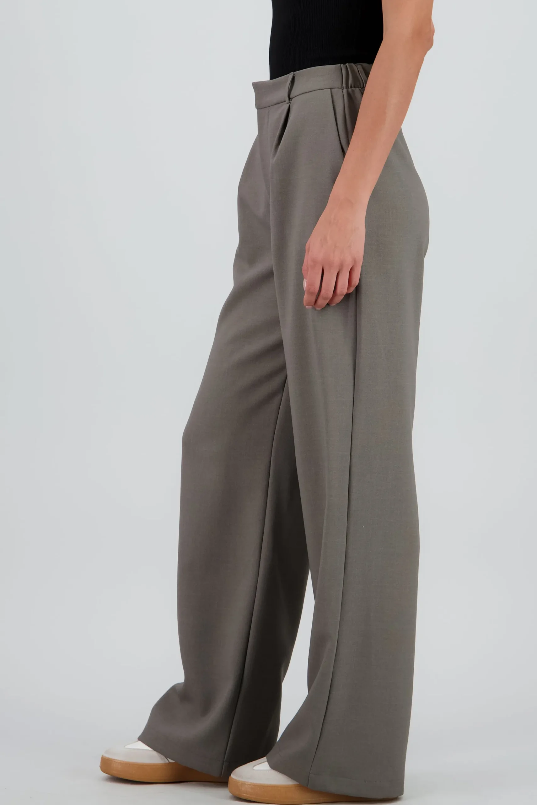 Shasa Wide Pleated Pants