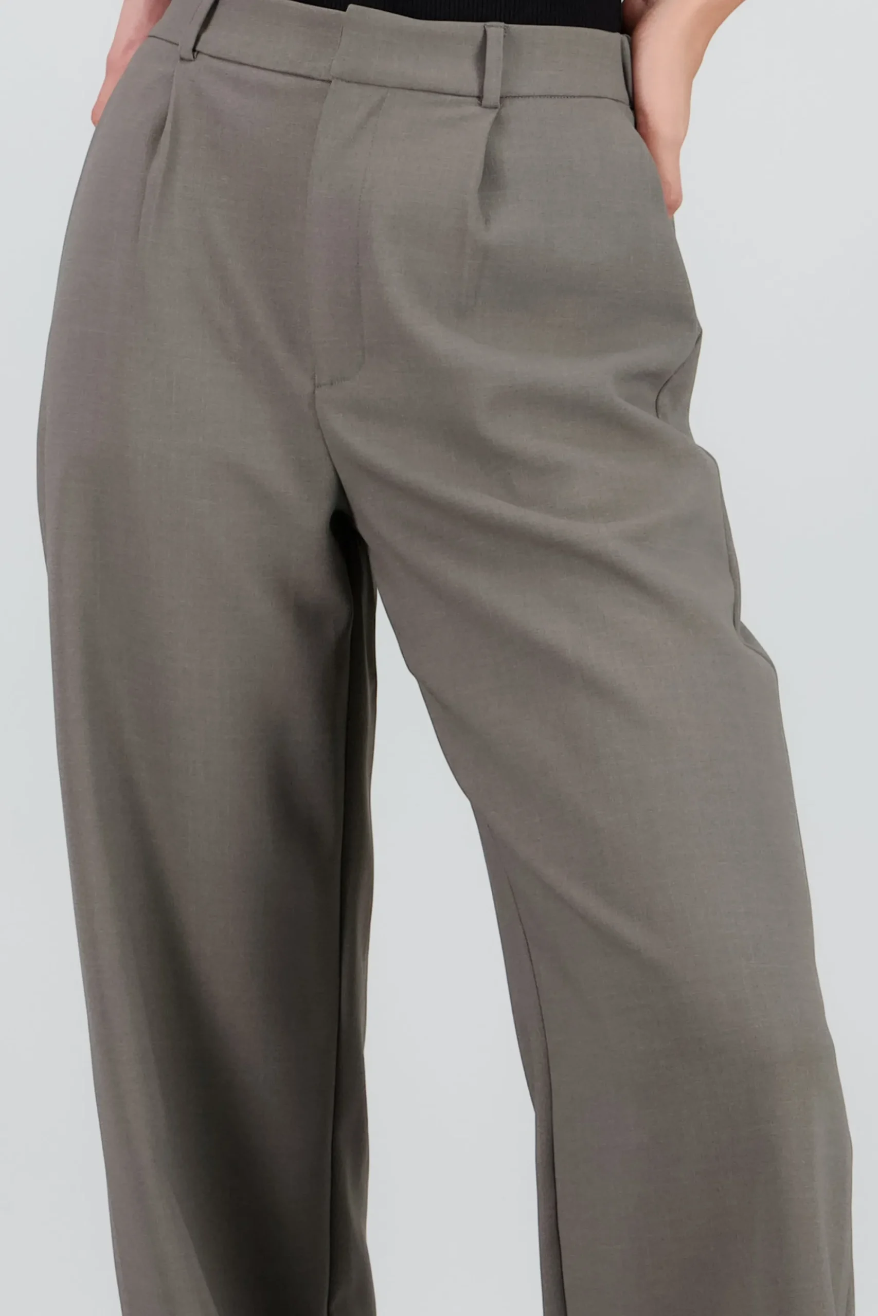 Shasa Wide Pleated Pants