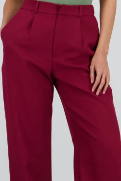 Shasa Wide Pleated Pants
