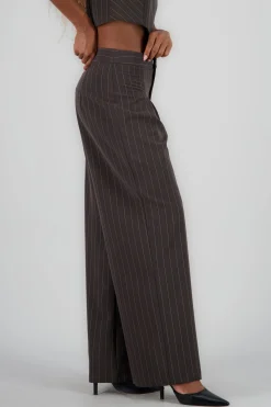 Shasa Wide Pleated Striped Pants