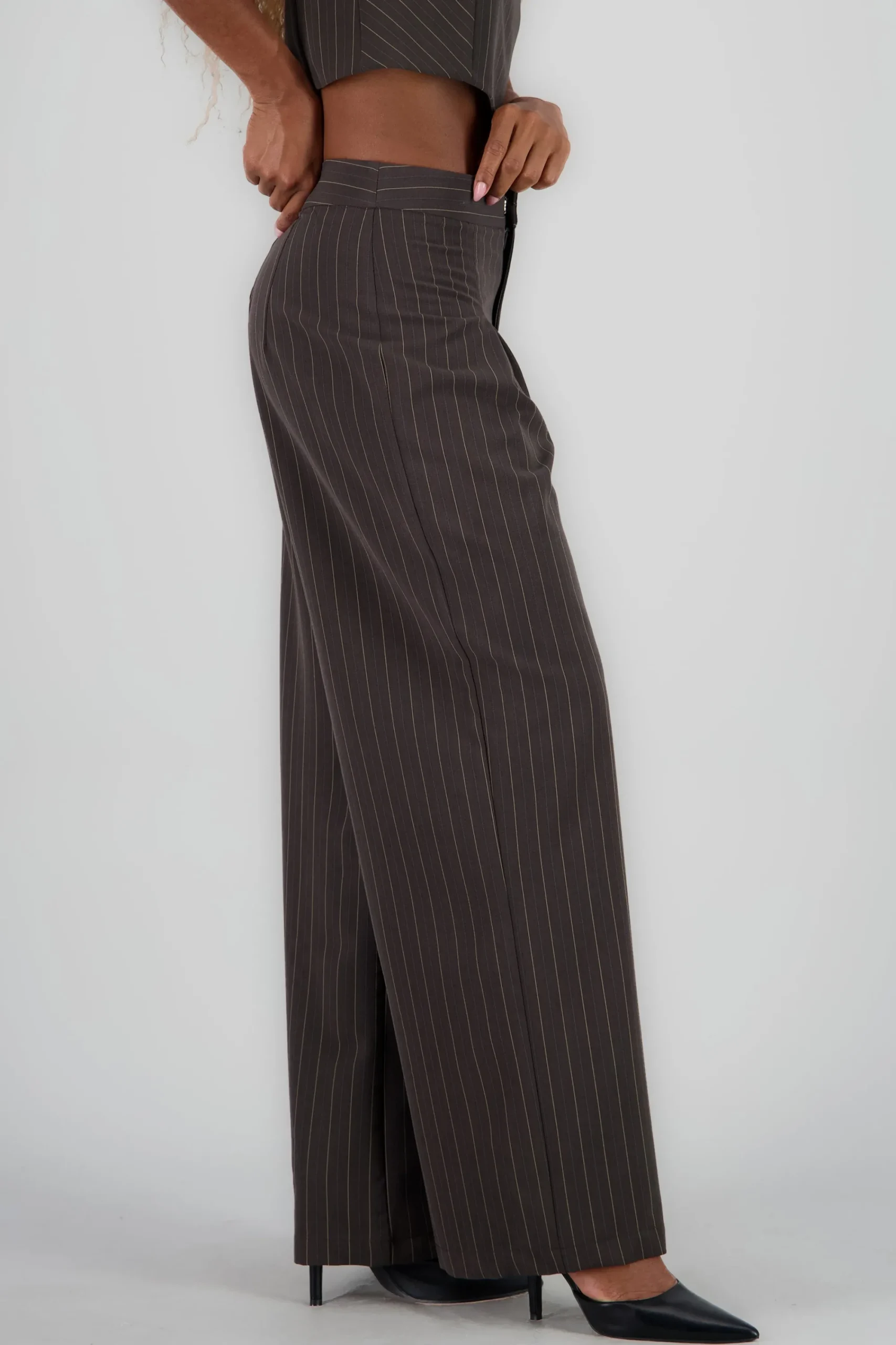 Shasa Wide Pleated Striped Pants