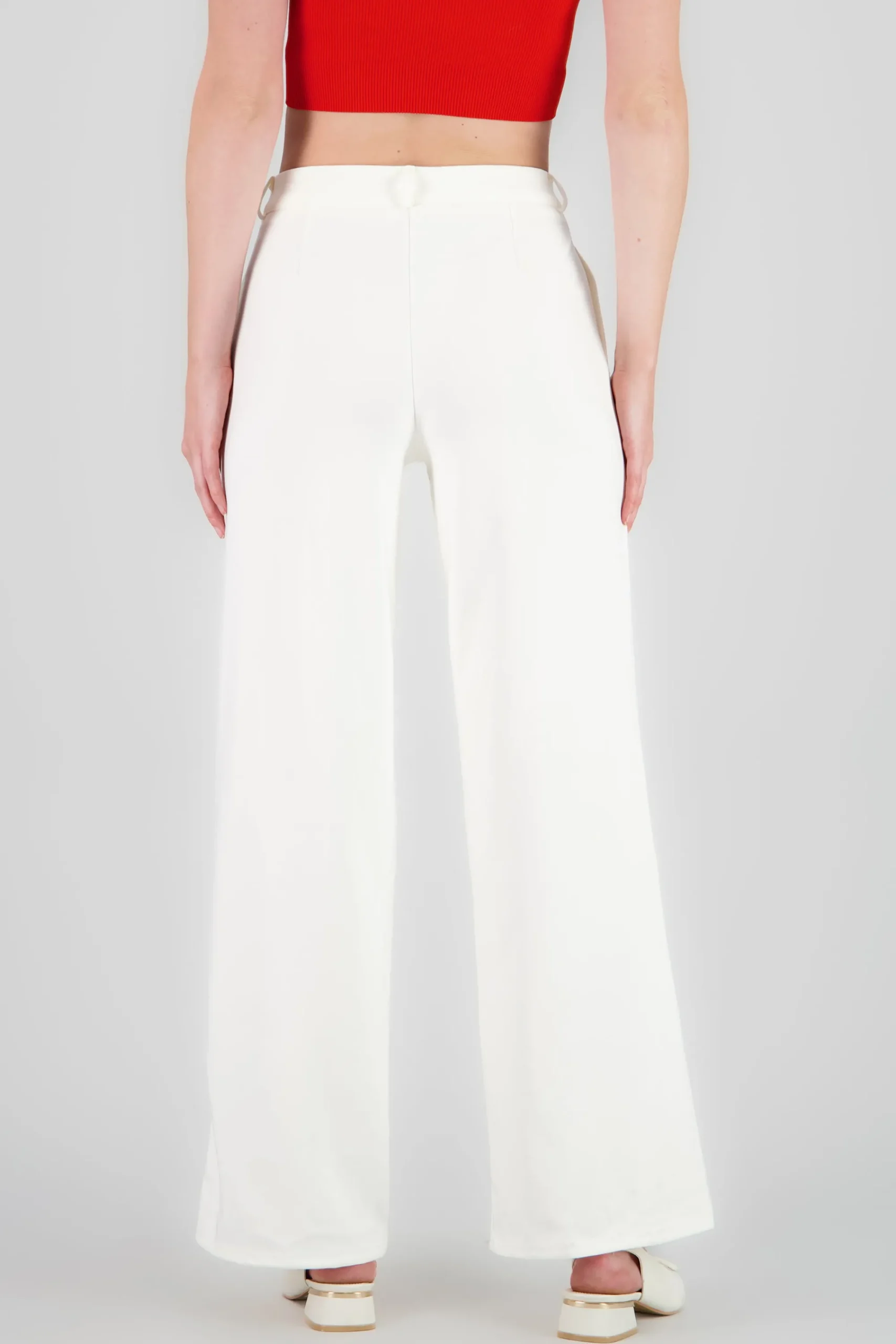 Shasa Wide Solid Pants
